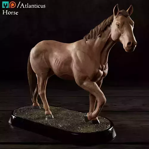 Horse 3D print model