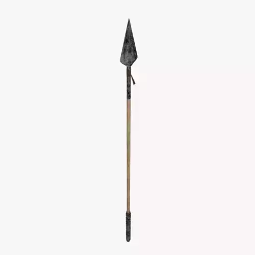 Medieval Spear