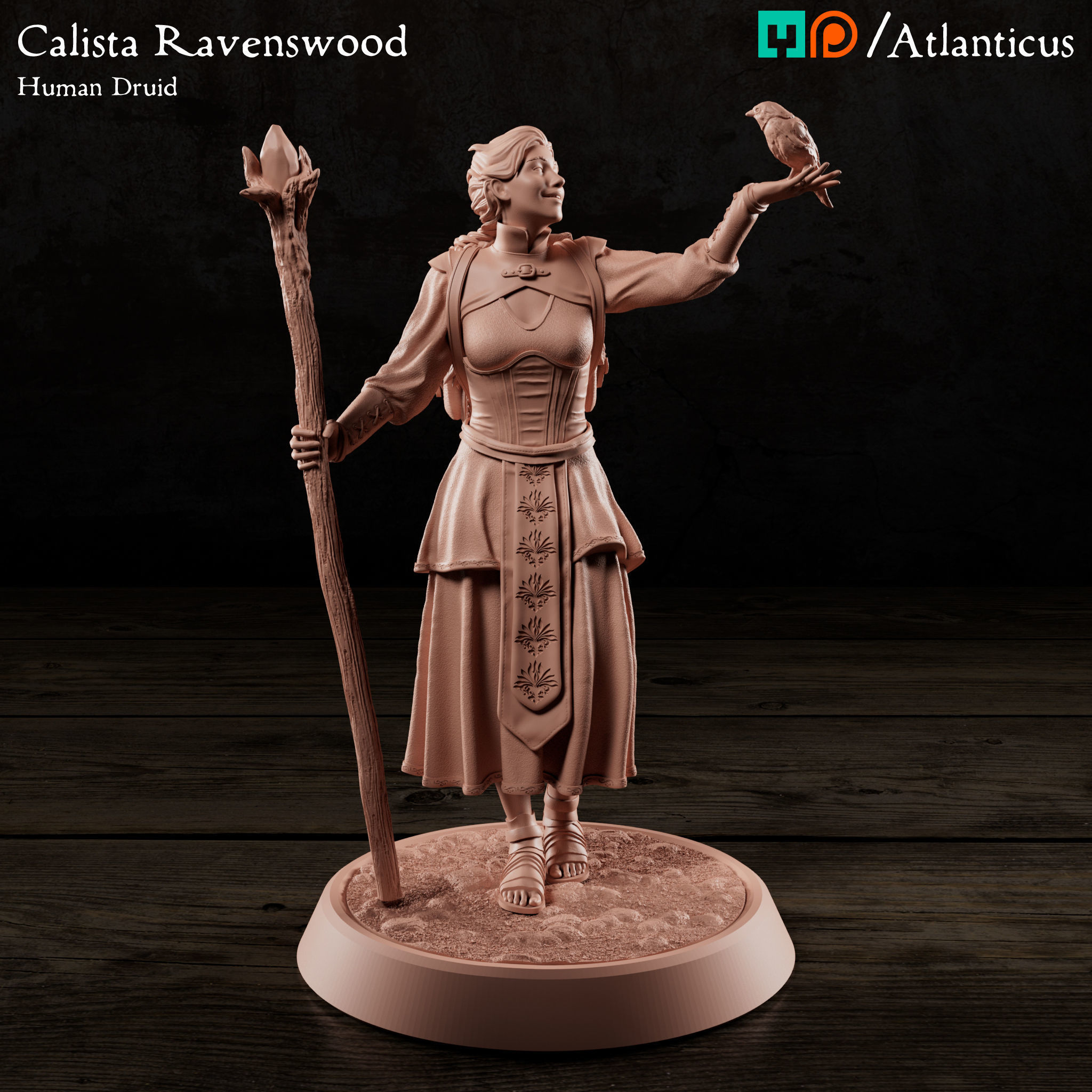 Female Human Druid - Calista Ravenswood - BUNDLE 3D Model Collection_4