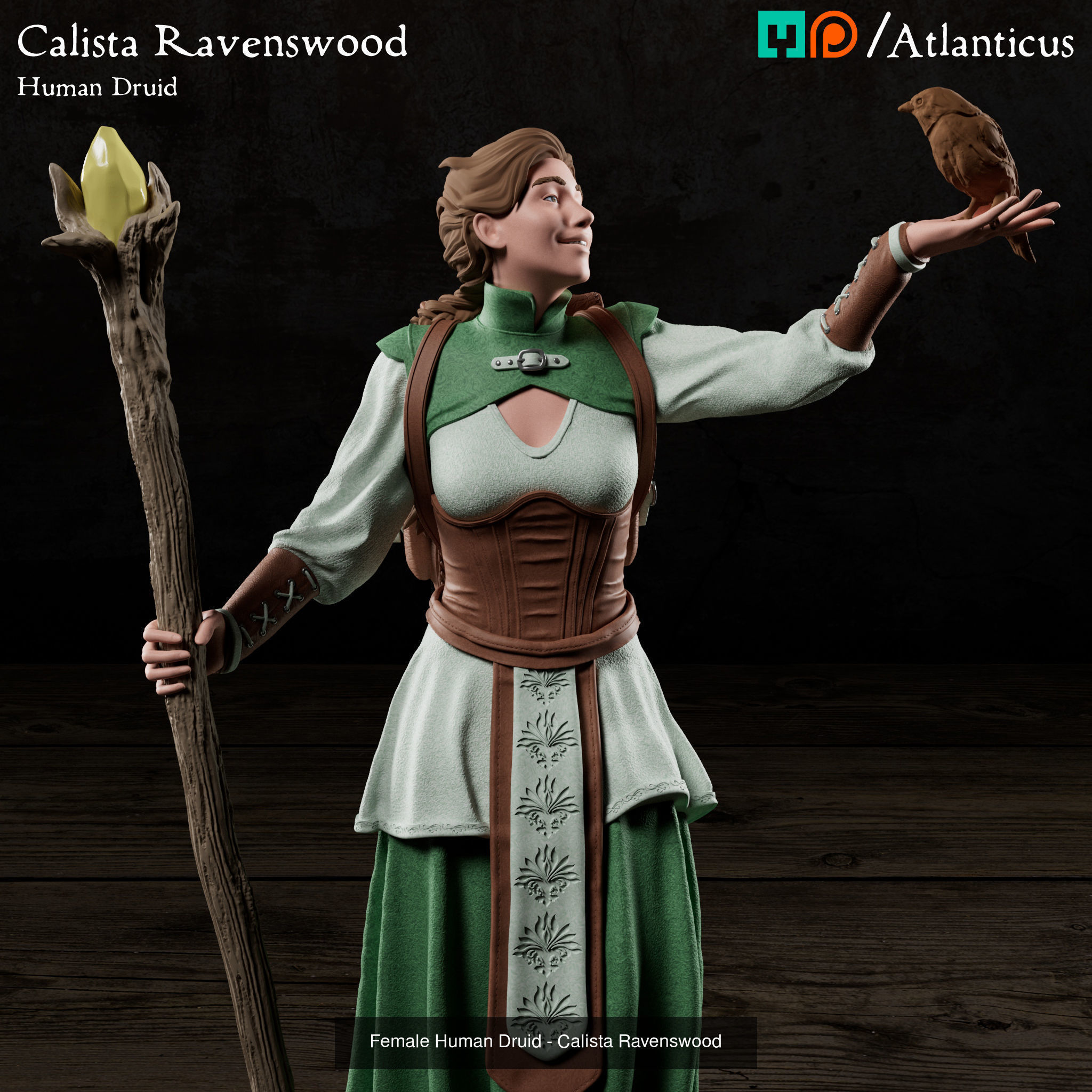 Female Human Druid - Calista Ravenswood - BUNDLE 3D Model Collection_7