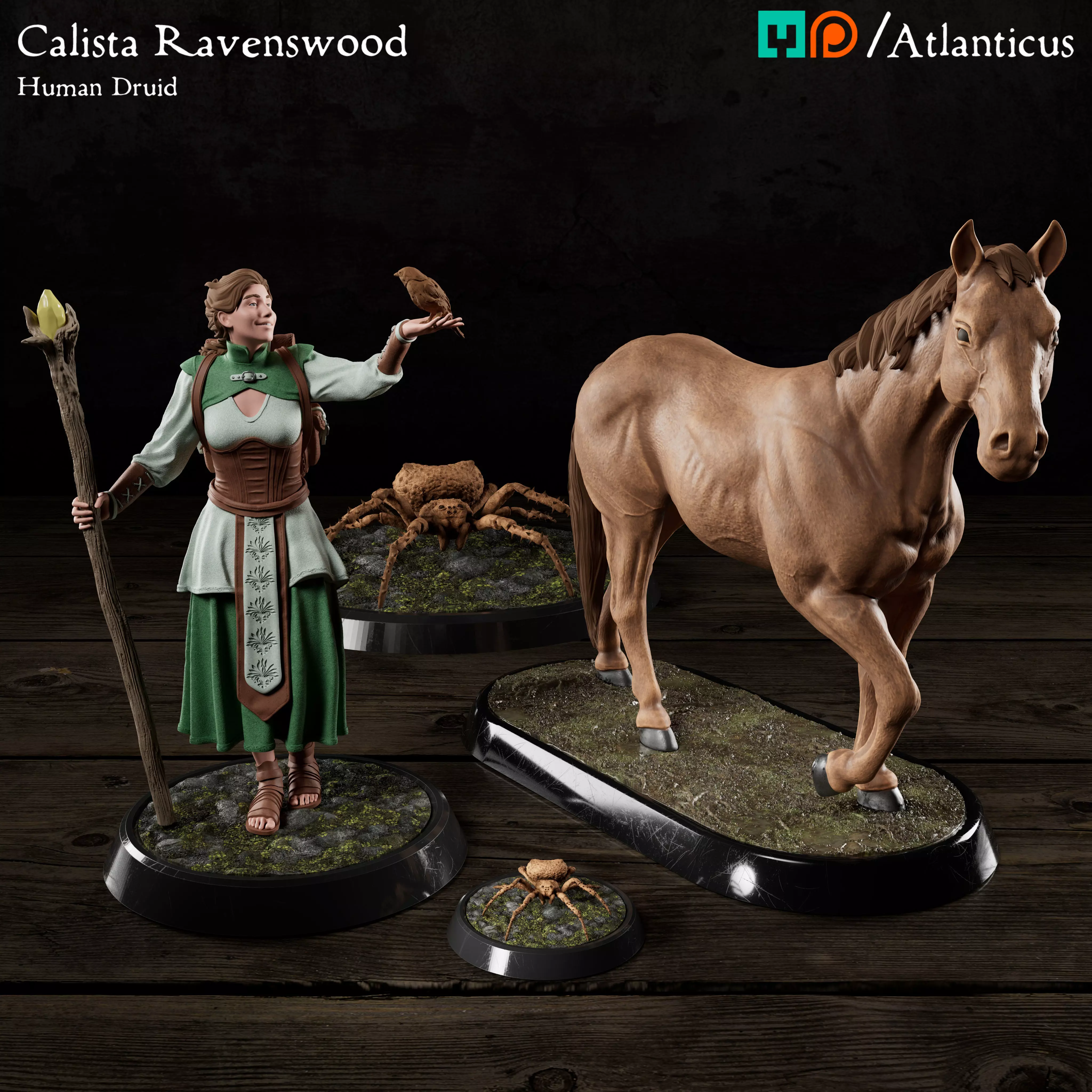 Female Human Druid - Calista Ravenswood - BUNDLE 3D Model Collection_0