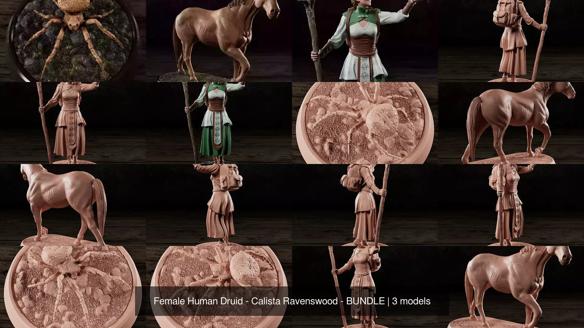 Female Human Druid - Calista Ravenswood - BUNDLE 3D Model Collection_1