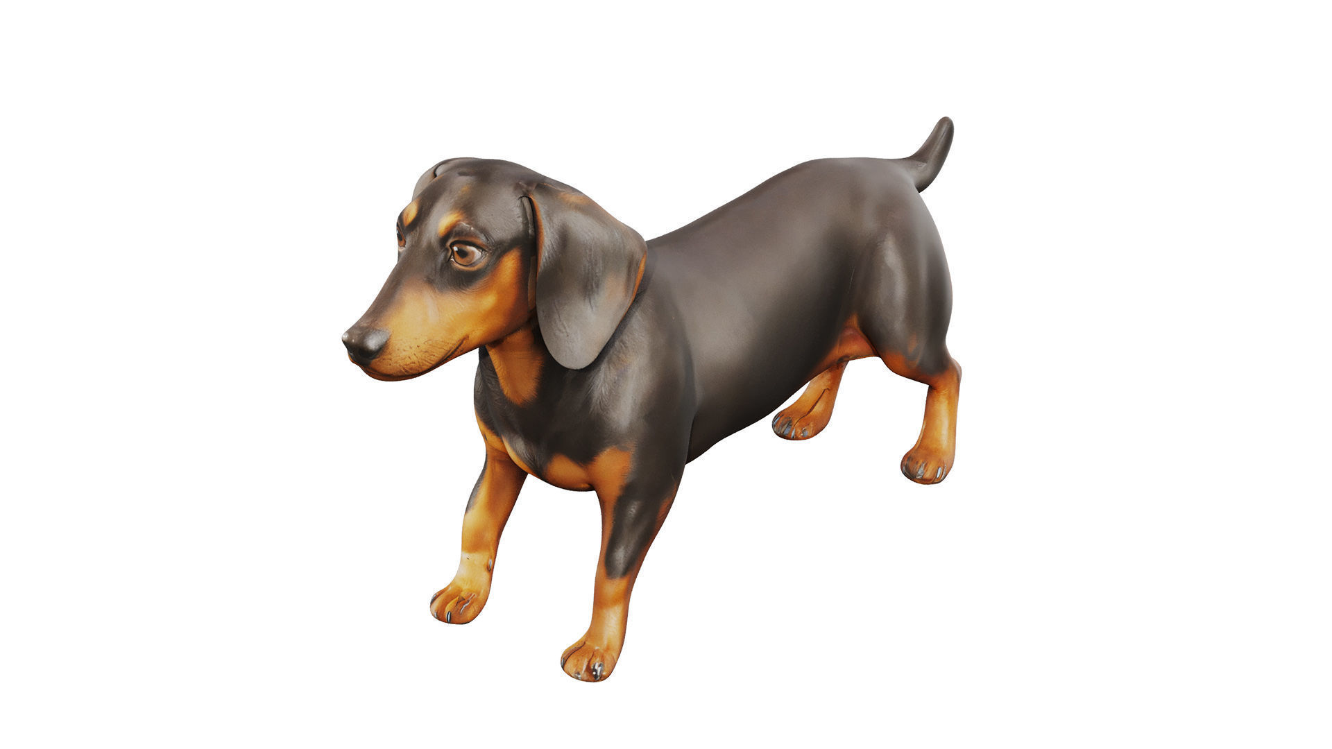 dachshund Low-poly 3D model_3