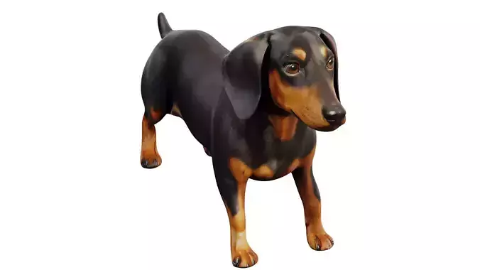 dachshund Low-poly 3D model