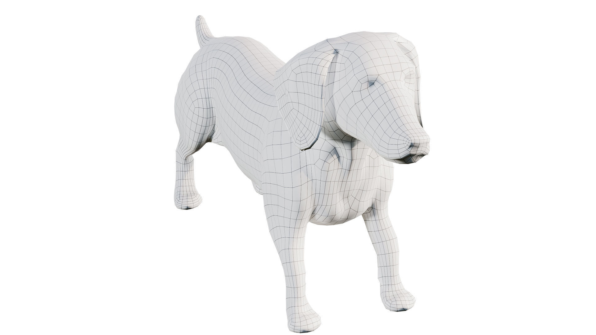 dachshund Low-poly 3D model_6