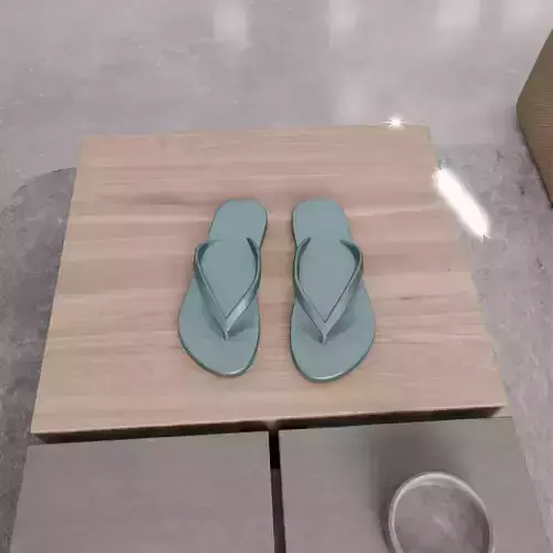 Printable Flip Flops  3D print model