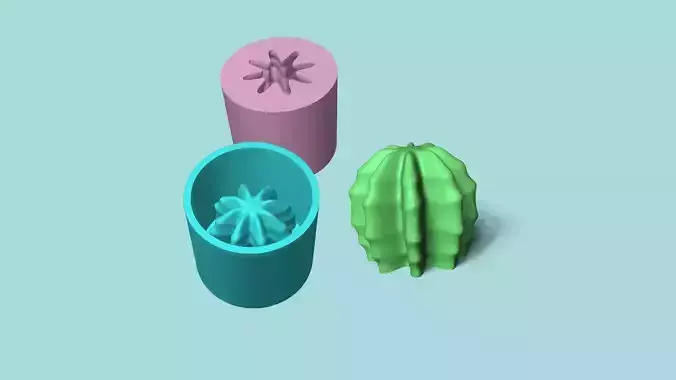 Cactus 12 - Silicon Mold Maker - Template Housing 3D print model