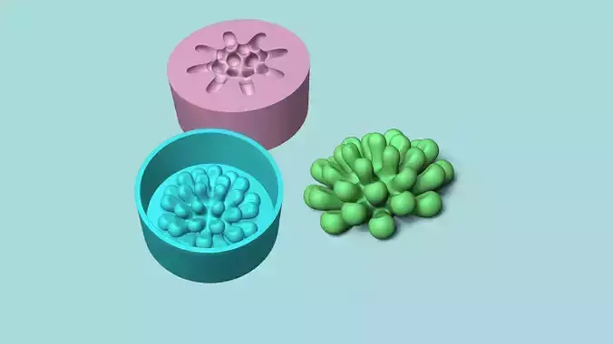 Cactus 11 - Silicon Mold Maker - Template Housing 3D print model