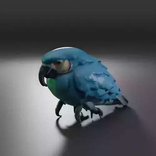 blue macaw 3D model