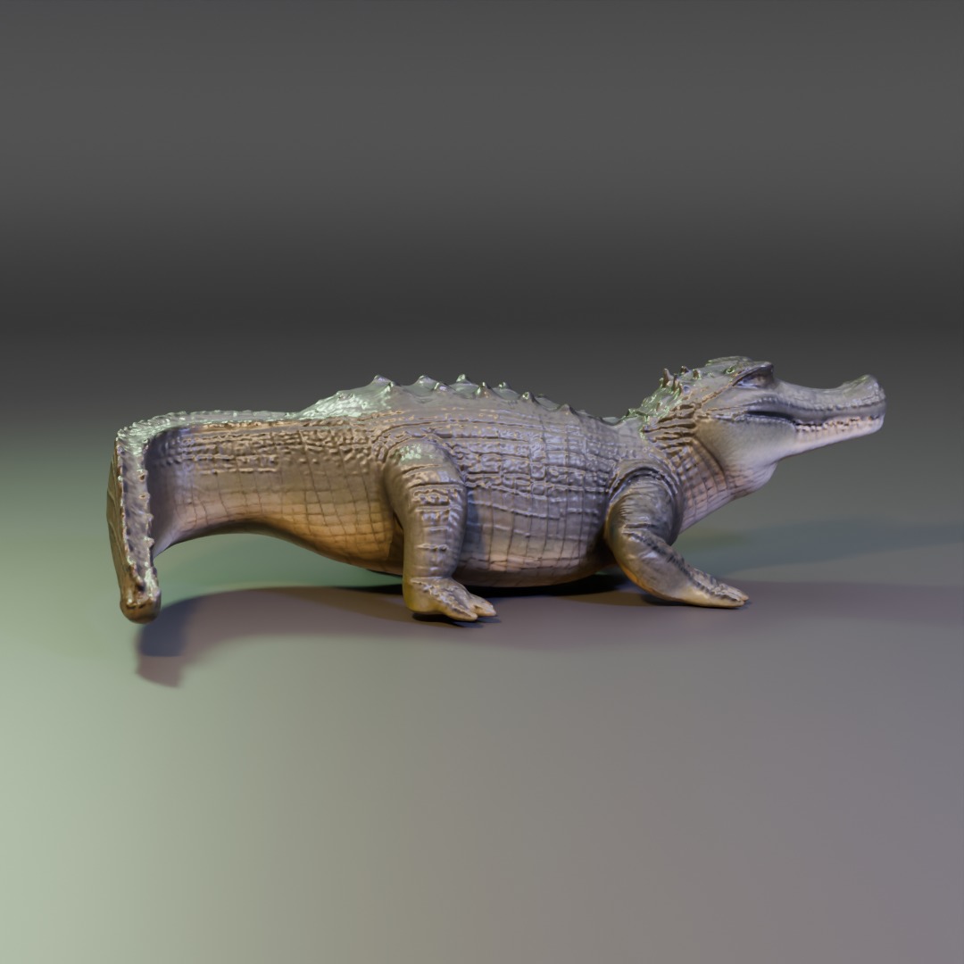 crocodile 3D model_2
