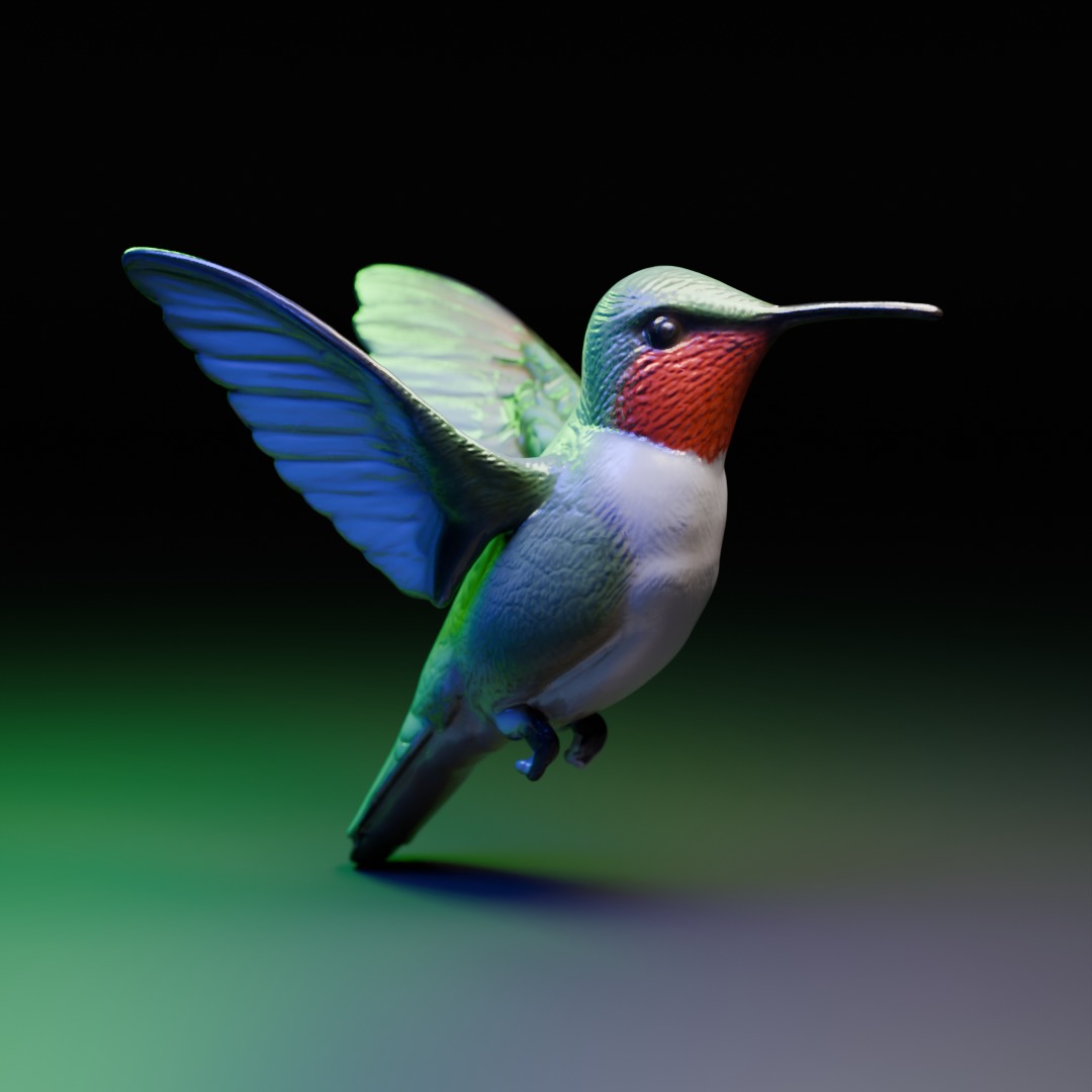 hummingbird 3D model_0