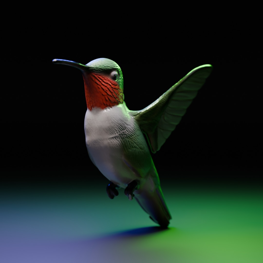 hummingbird 3D model_2