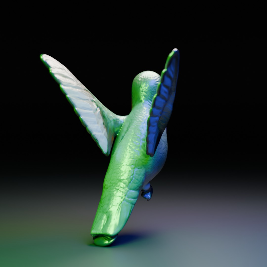 hummingbird 3D model_4