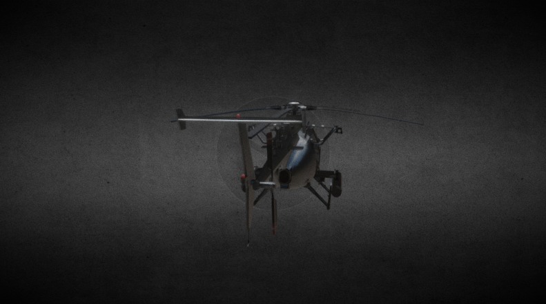 Little bird 3D model_2