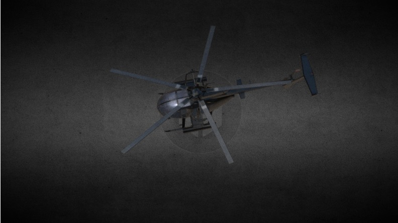 Little bird 3D model_4