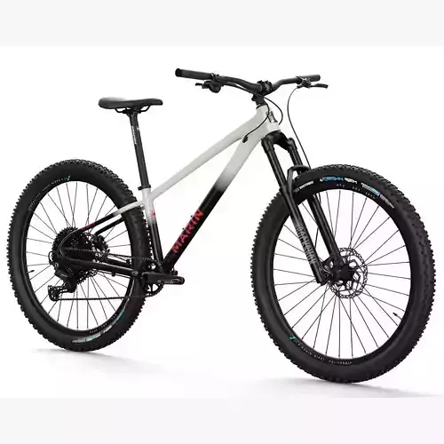 MTB hardtail in white black 