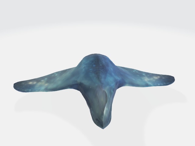 Sea alien creature 3D model_3