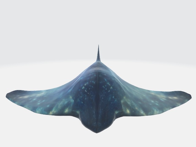 Sea alien creature 3D model_1