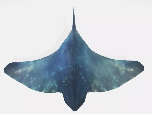 Sea alien creature 3D model_0