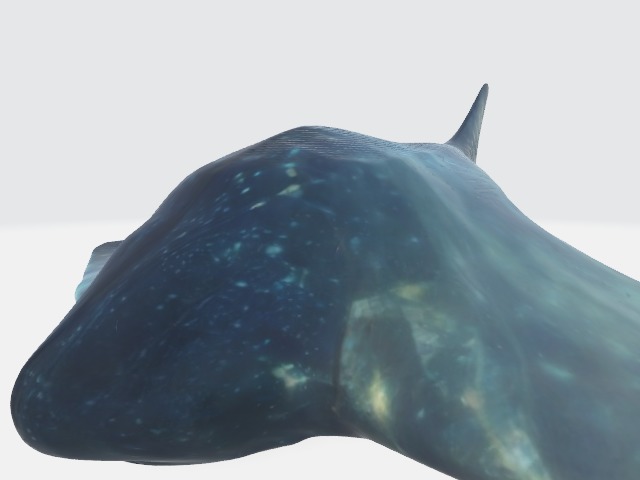 Sea alien creature 3D model_4
