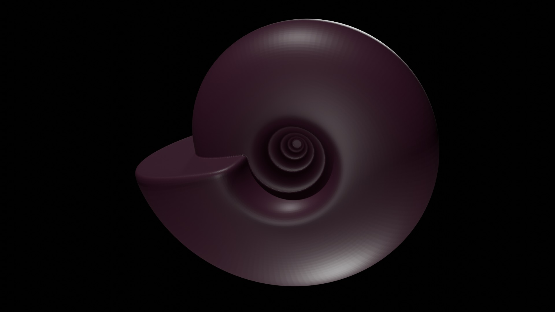 Ammonoid shell involute and depressed Hibernicoceras 3D model_4