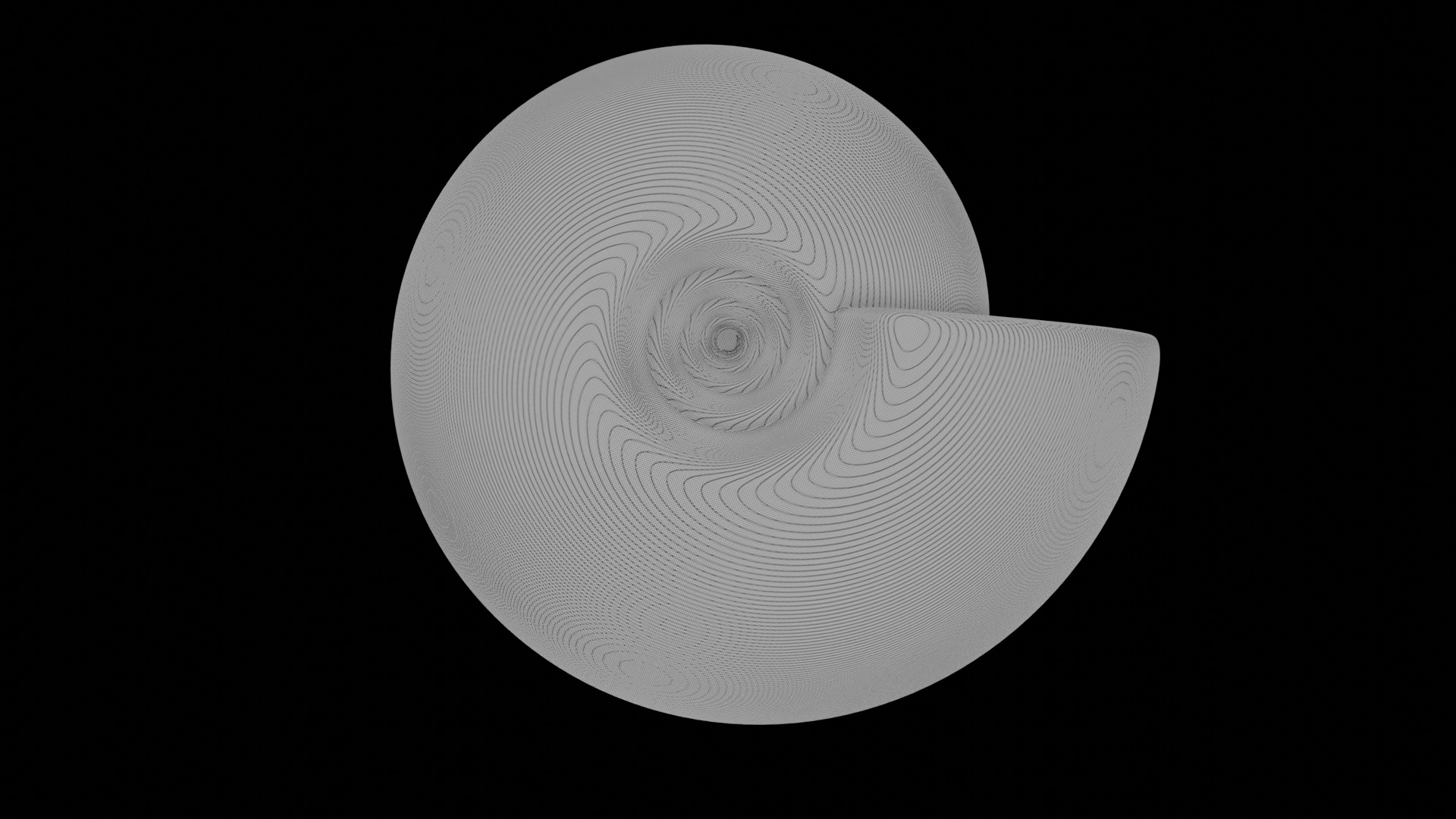 Ammonoid shell involute and depressed Hibernicoceras 3D model_6