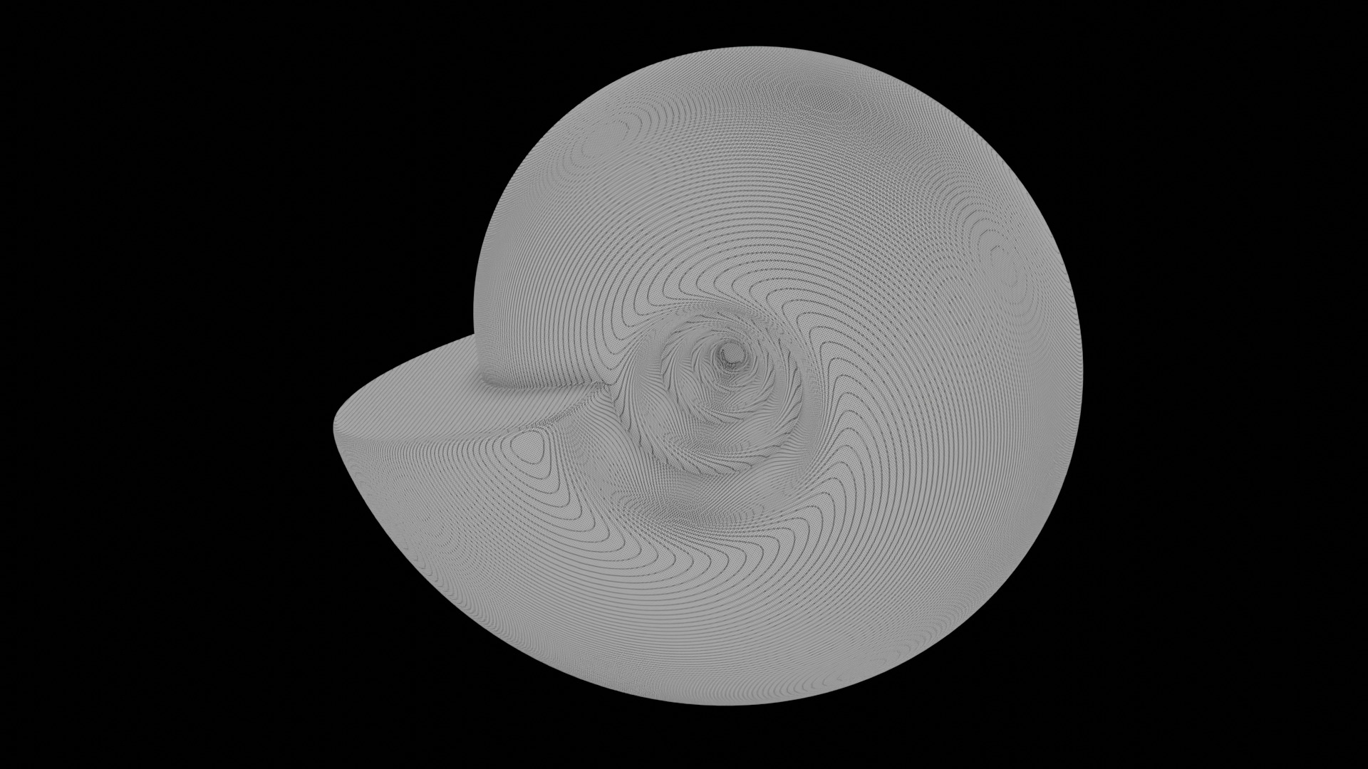 Ammonoid shell involute and depressed Hibernicoceras 3D model_10