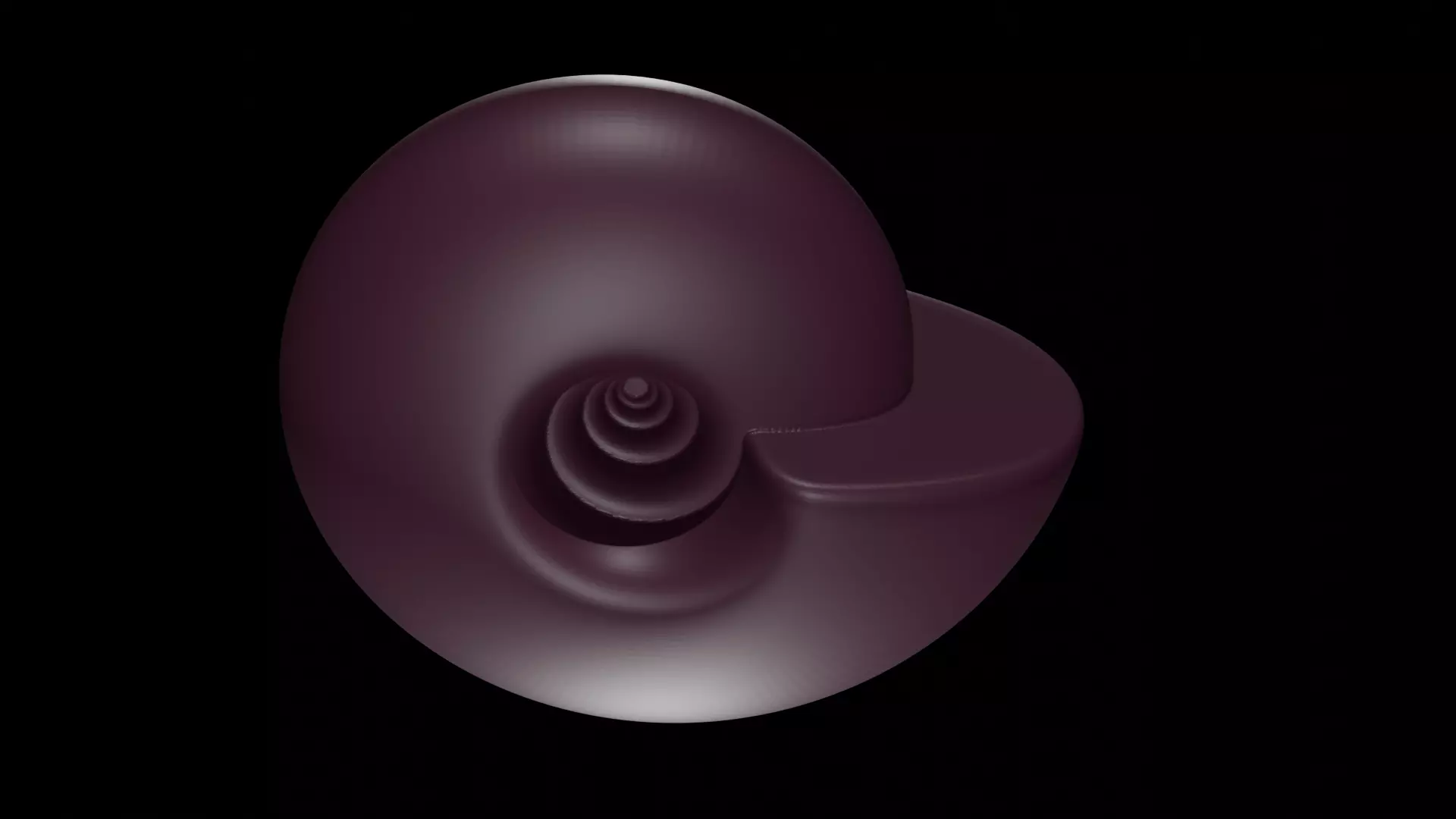 Ammonoid shell involute and depressed Hibernicoceras 3D model_0