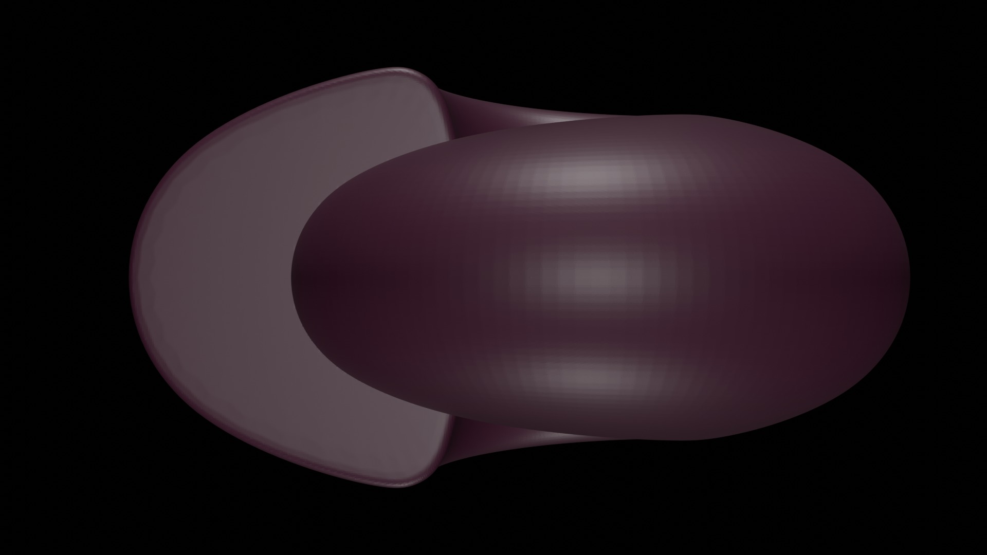 Ammonoid shell involute and depressed Hibernicoceras 3D model_2
