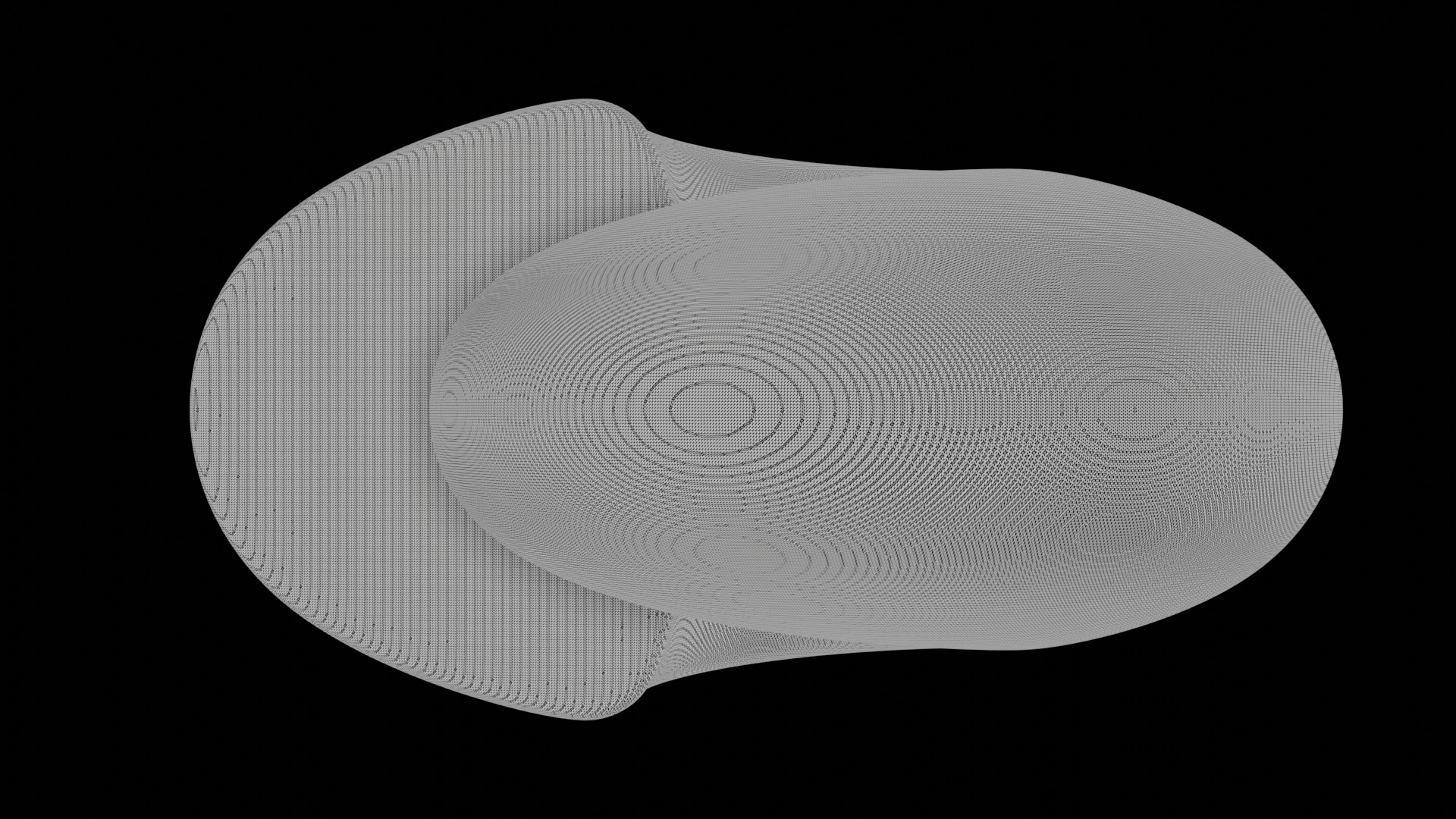 Ammonoid shell involute and depressed Hibernicoceras 3D model_7