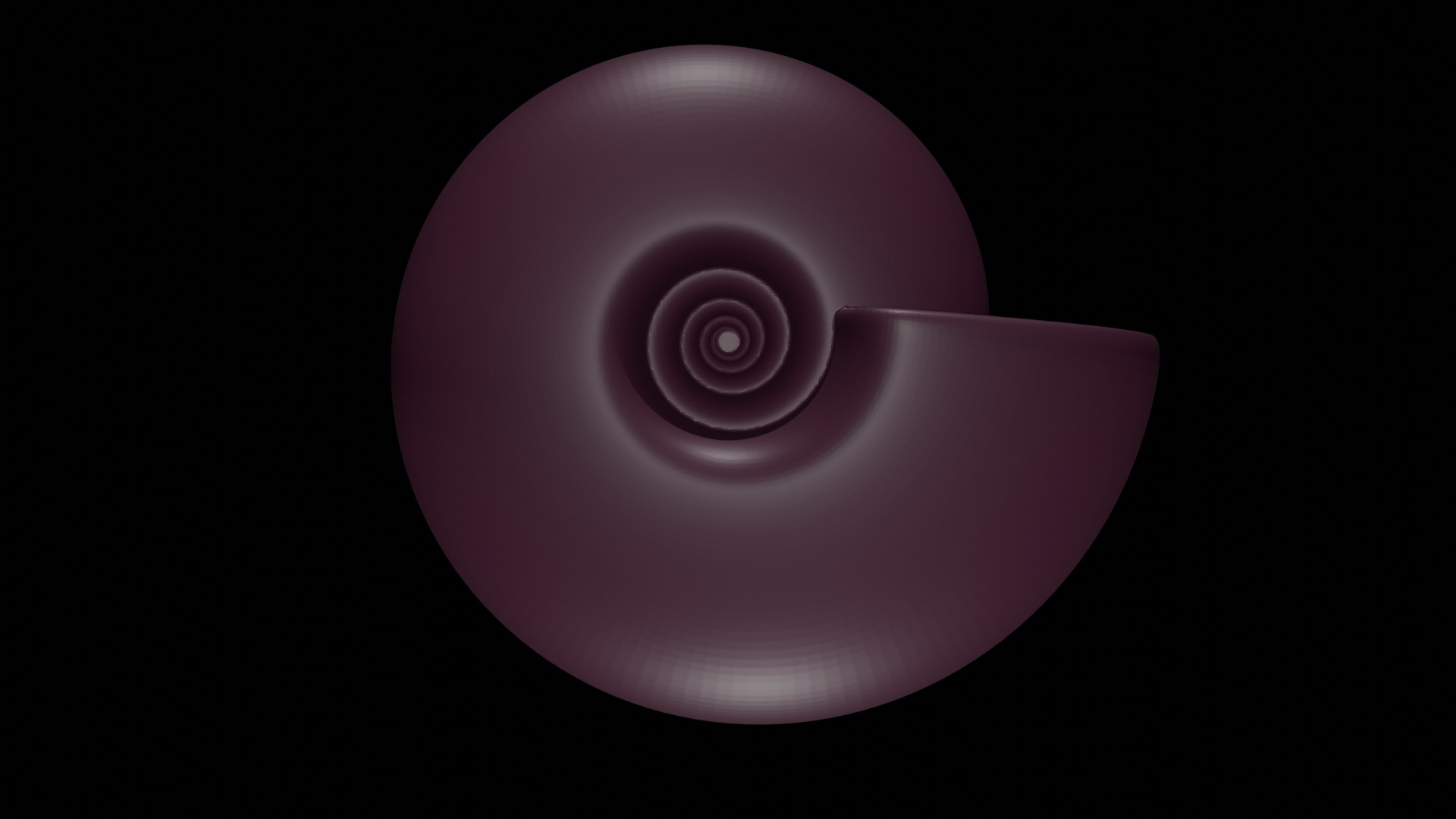 Ammonoid shell involute and depressed Hibernicoceras 3D model_1