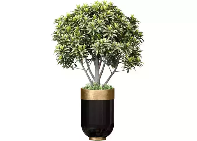 Decorative tree floral modern black Luxury pot vase Art Deco 