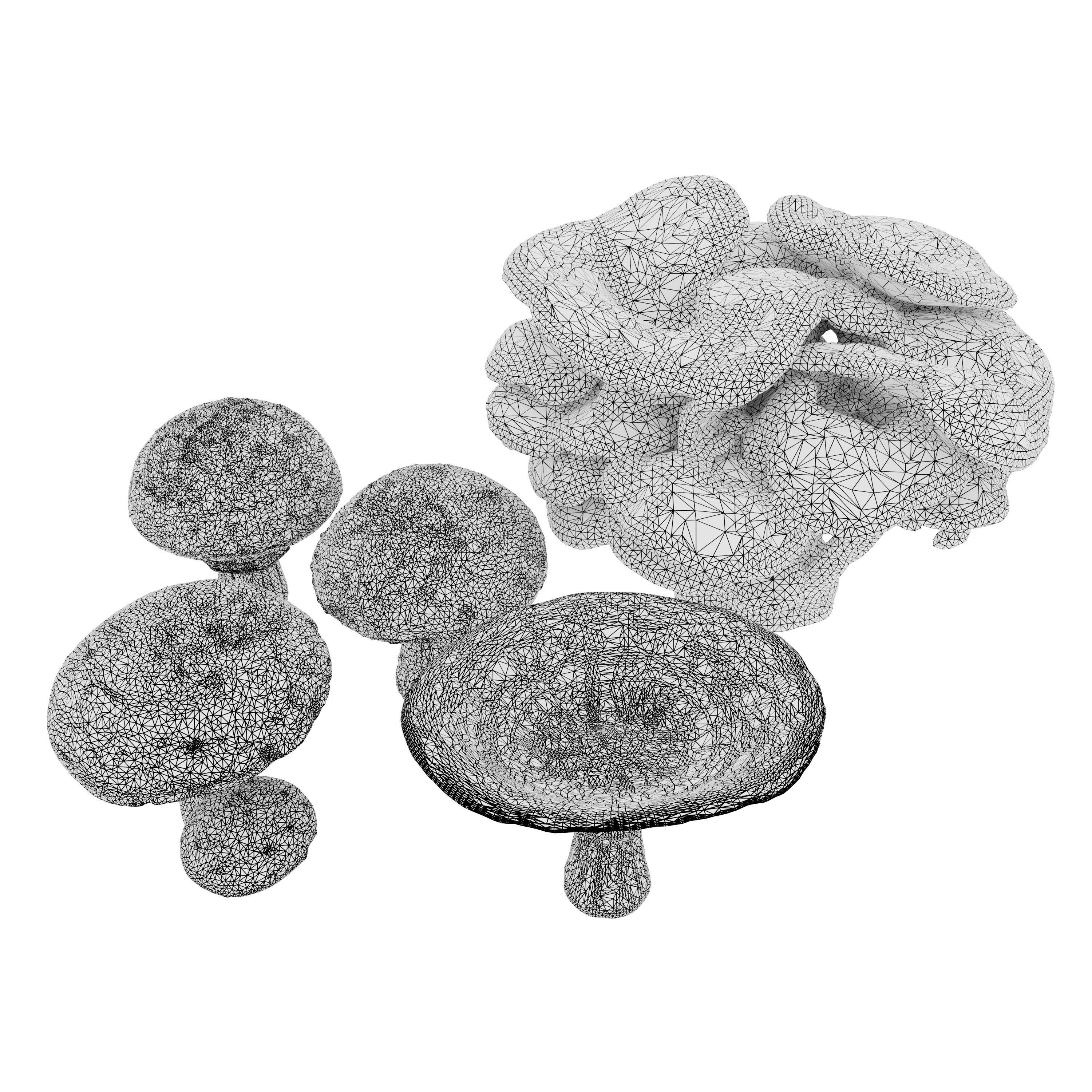 Mushroom set 02 3D model_3