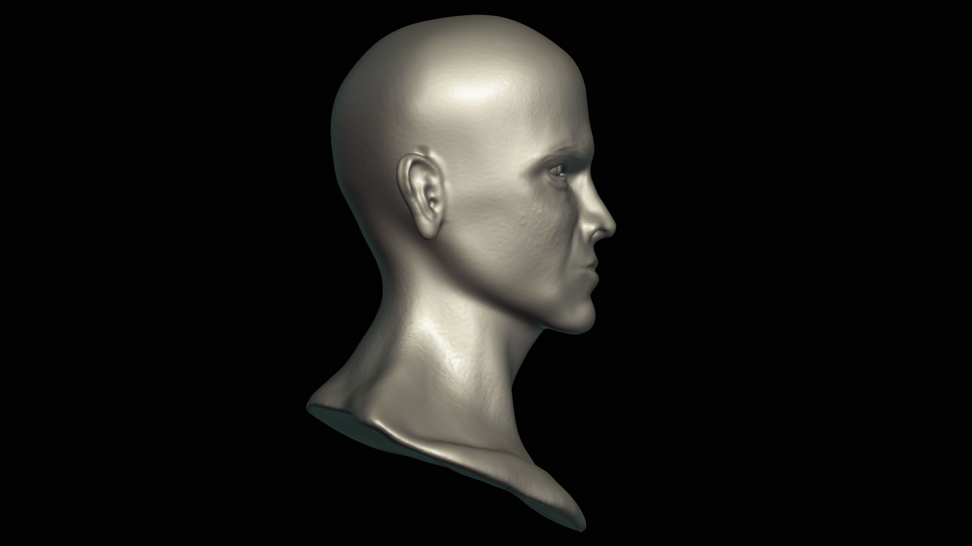 Realistic Male Head 3D model_3