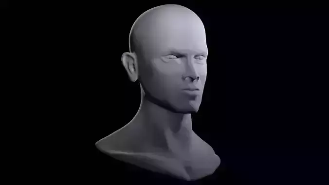 Realistic Male Head