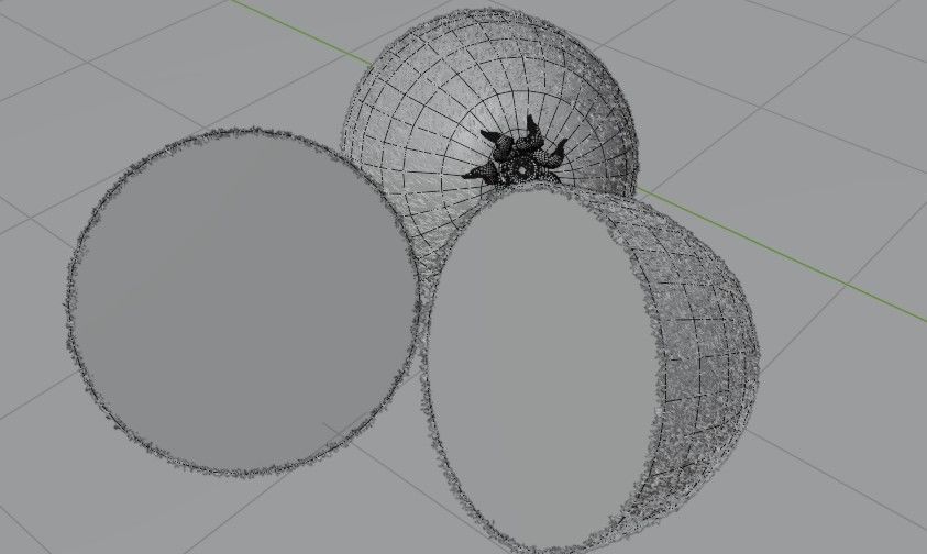 Realistic  Kiwi green low-poly  3D model Low-poly 3D model_16