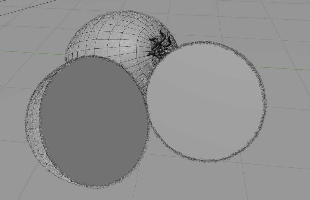 Realistic  Kiwi green low-poly  3D model Low-poly 3D model_12