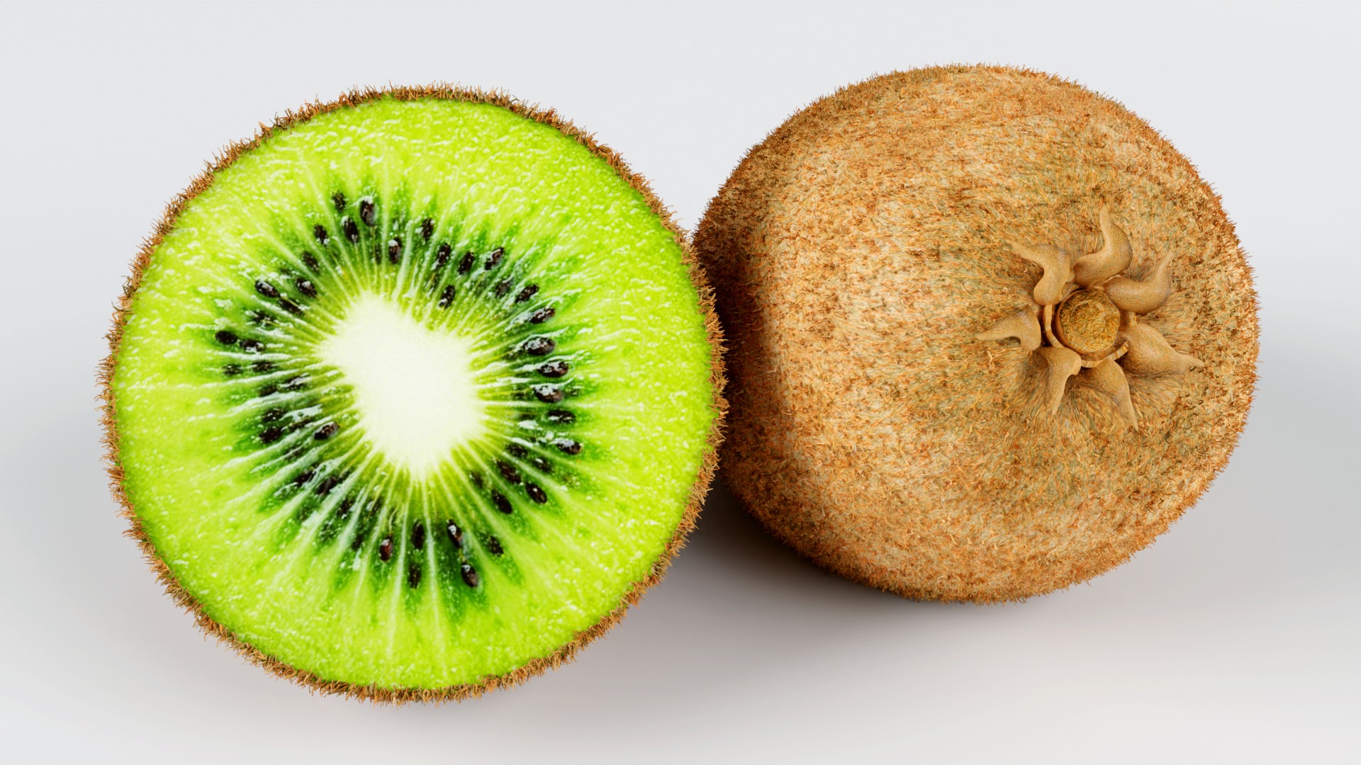 Realistic  Kiwi green low-poly  3D model Low-poly 3D model_5