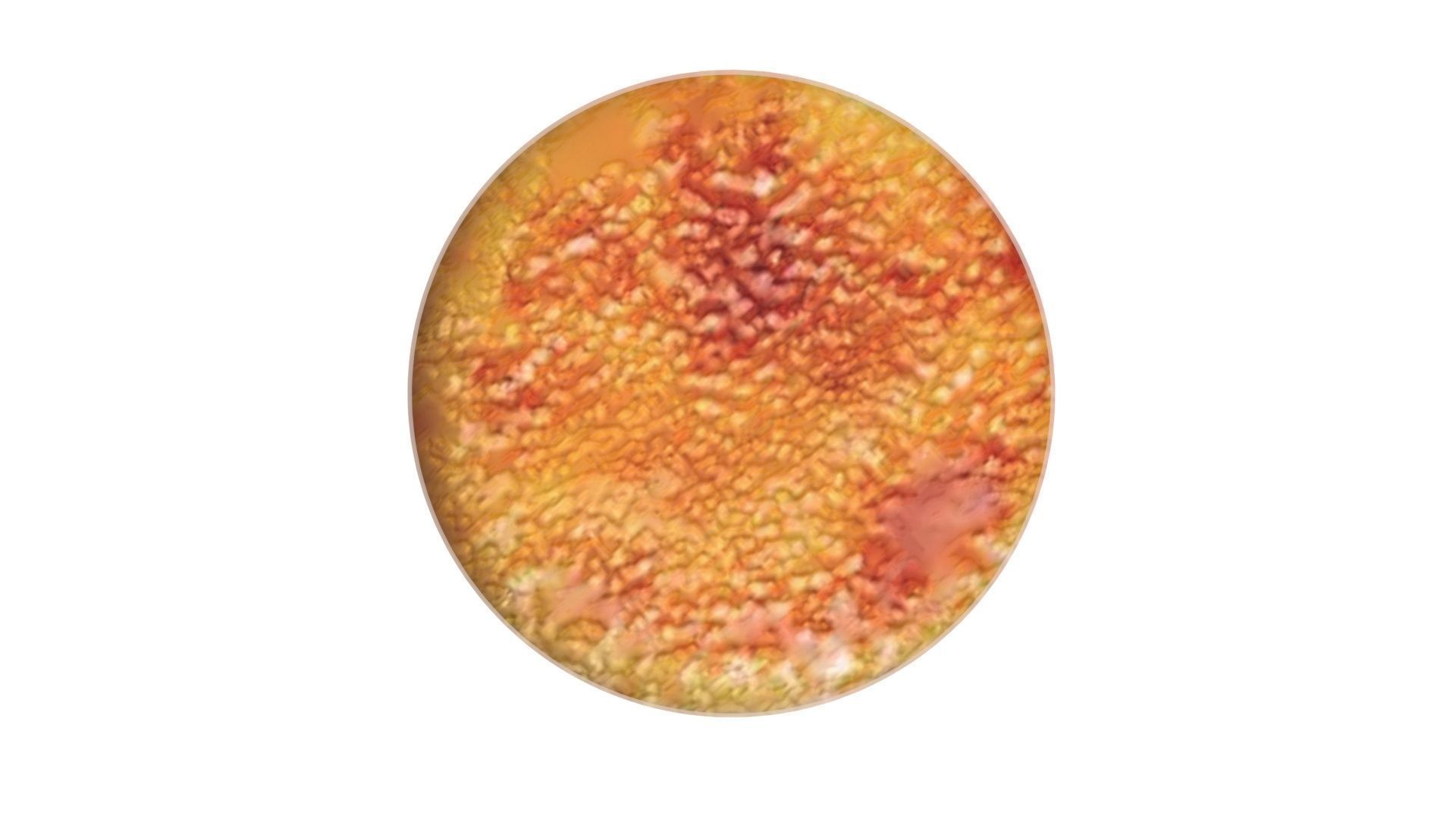 Creme Brulee 3D model_12