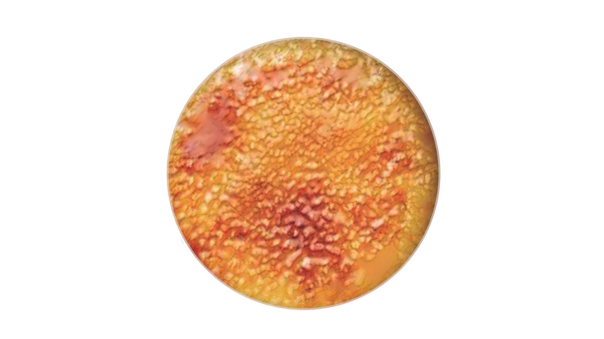 Creme Brulee 3D model_10