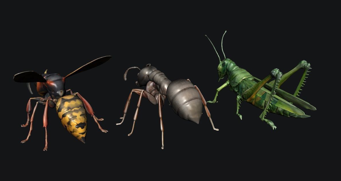 Animals Insect 3D model_2