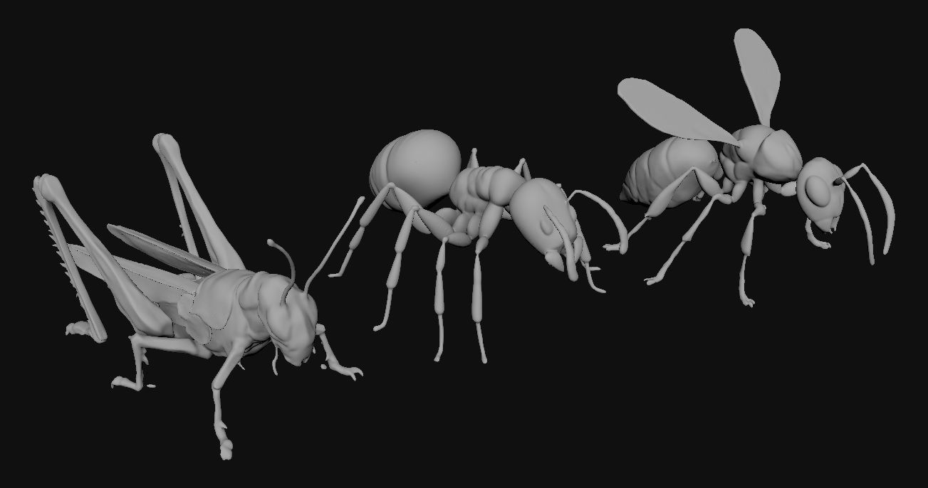 Animals Insect 3D model_3