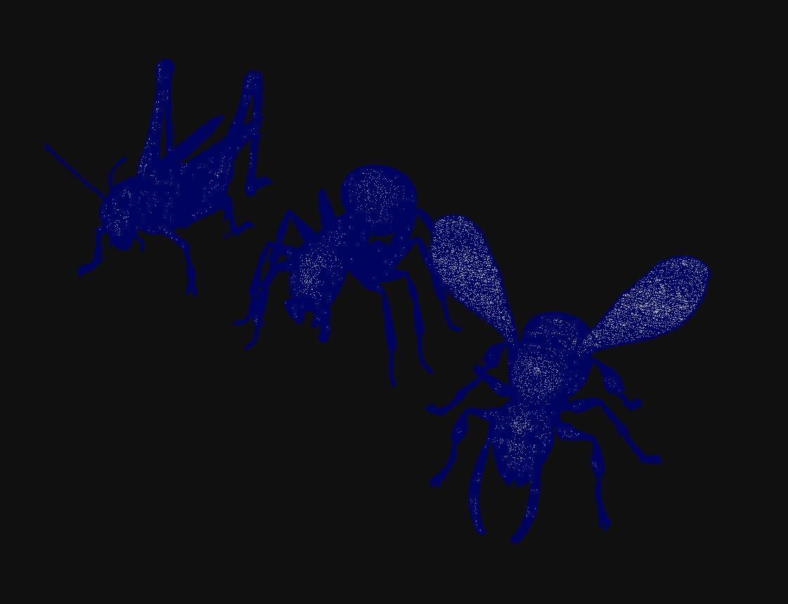 Animals Insect 3D model_4