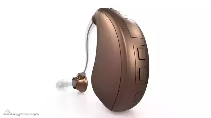Hearing Aid