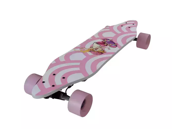 Electric Skateboard