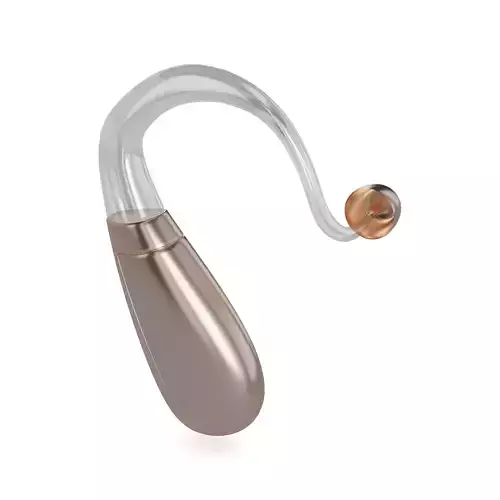 Hearing Aid