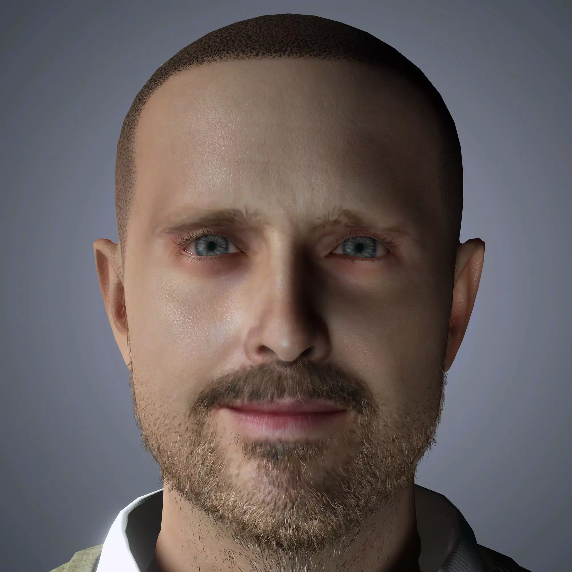 Aaron Paul Character Low-poly 3D model_0