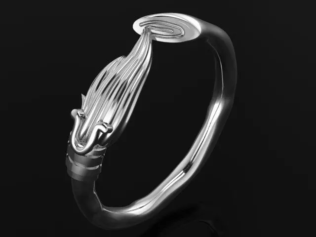 Curved broom ring 4936 3D print model