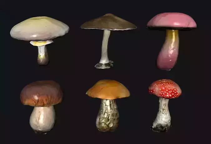 Mushroom