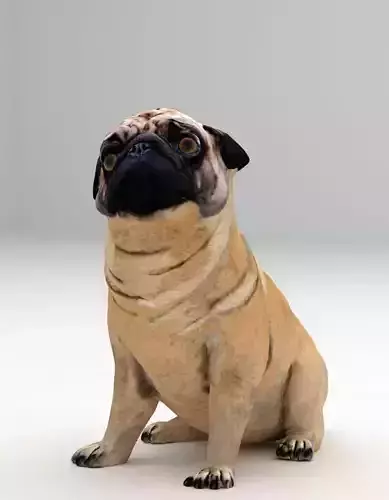 Realistic 3D Dog Model